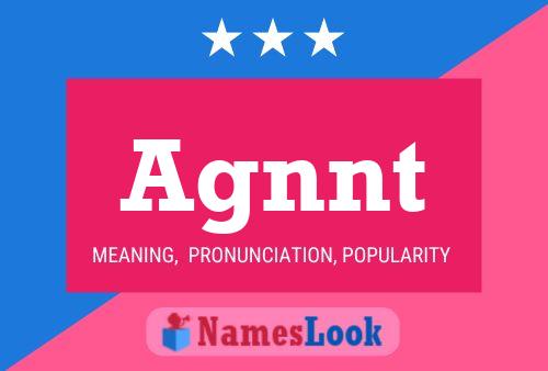 Agnnt Name Poster