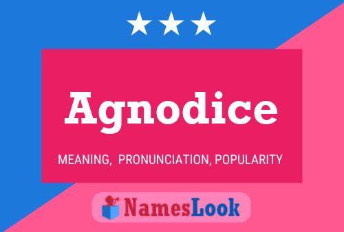 Agnodice Name Poster