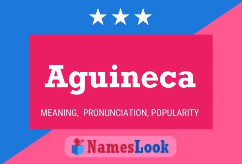 Aguineca Name Poster