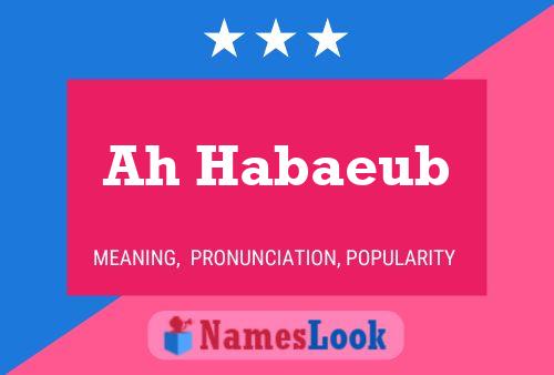 Ah Habaeub Name Poster