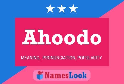 Ahoodo Name Poster