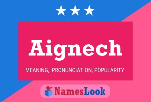 Aignech Name Poster