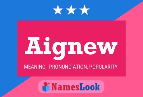 Aignew Name Poster