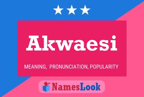 Akwaesi Name Poster