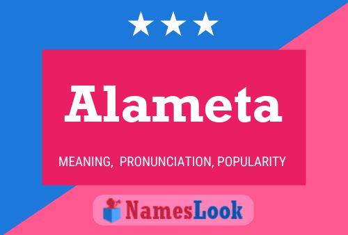 Alameta Name Poster