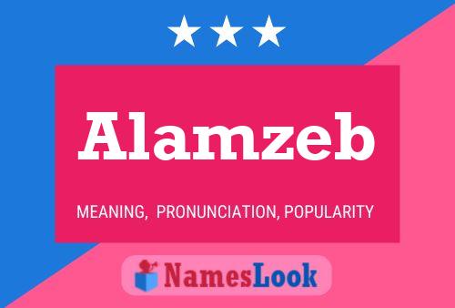 Alamzeb Name Poster