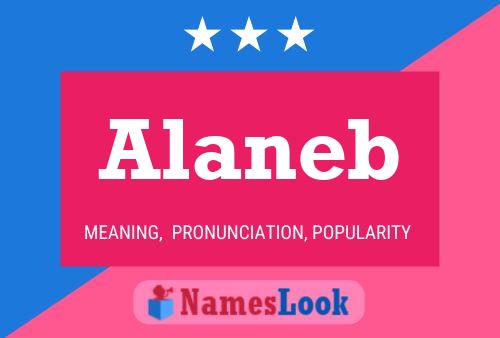 Alaneb Name Poster