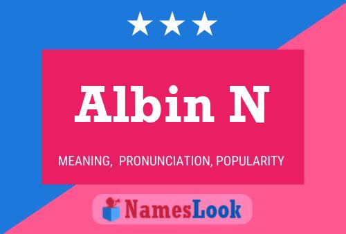 Albin N Name Poster