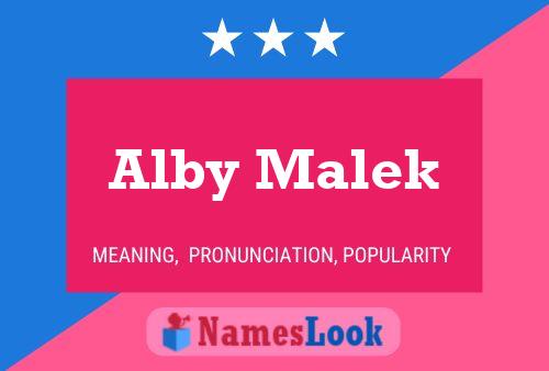 Alby Malek Name Poster