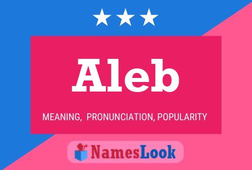 Aleb Name Poster