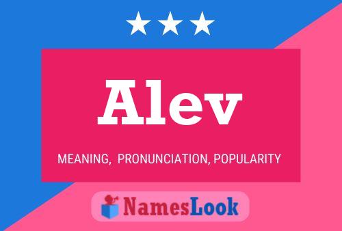 Alev Name Poster