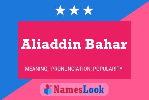 Aliaddin Bahar Name Poster