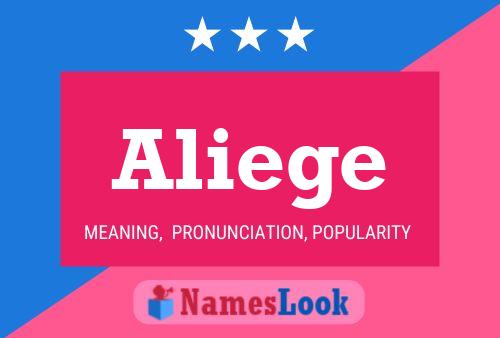 Aliege Name Poster