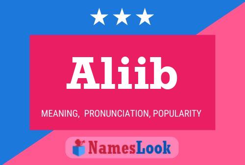 Aliib Name Poster