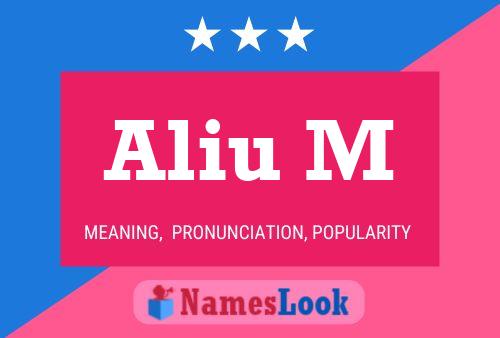 Aliu M Name Poster