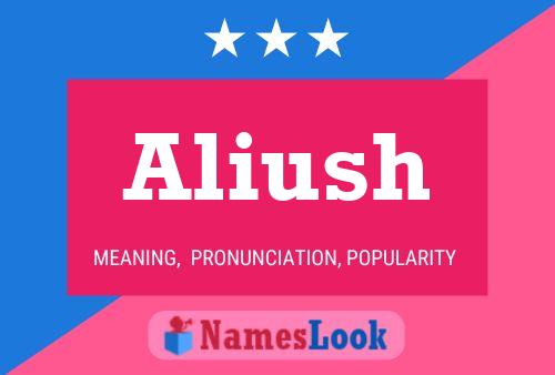 Aliush Name Poster