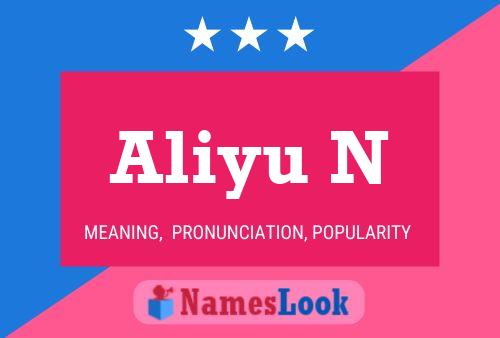 Aliyu N Name Poster