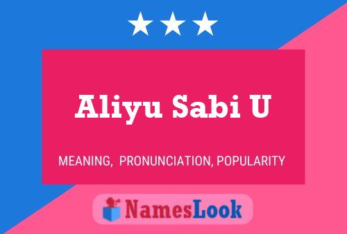 Aliyu Sabi U Name Poster