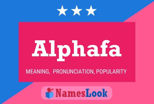 Alphafa Name Poster