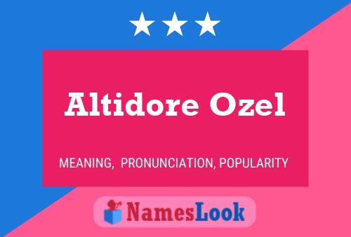 Altidore Ozel Name Poster