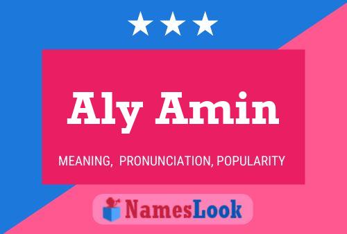 Aly Amin Name Poster