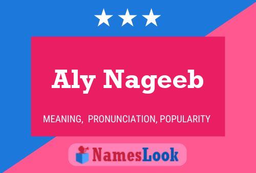 Aly Nageeb Name Poster