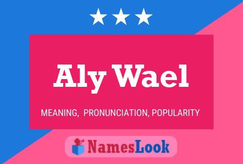 Aly Wael Name Poster