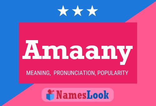 Amaany Name Poster