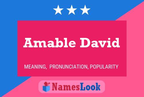 Amable David Name Poster