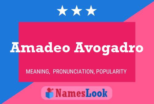 Amadeo Avogadro Name Poster