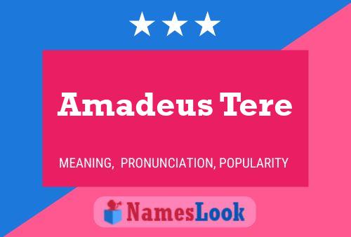 Amadeus Tere Name Poster