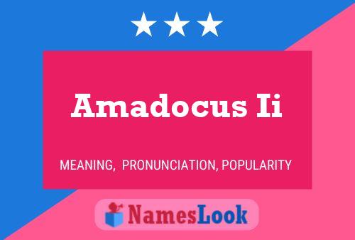 Amadocus Ii Name Poster