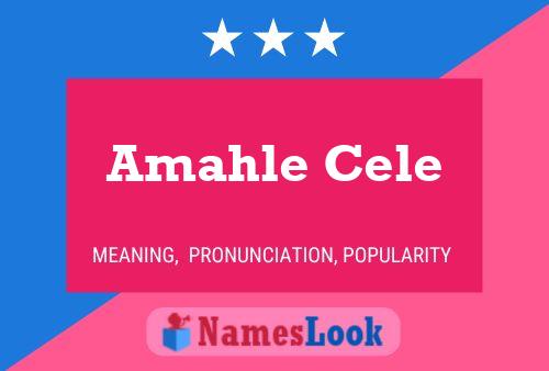 Amahle Cele Name Poster