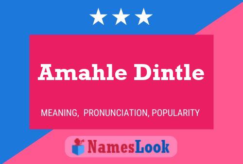 Amahle Dintle Name Poster