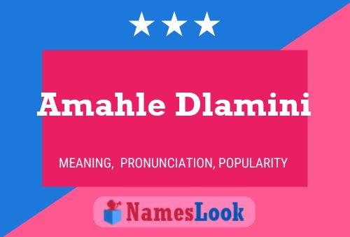 Amahle Dlamini Name Poster