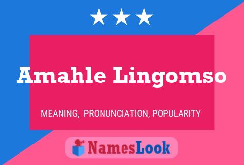 Amahle Lingomso Name Poster