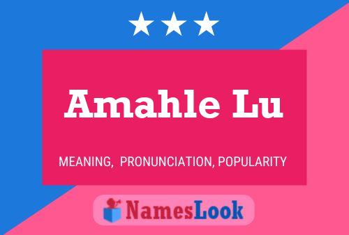 Amahle Lu Name Poster