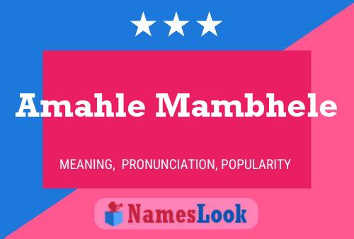 Amahle Mambhele Name Poster