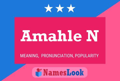 Amahle N Name Poster