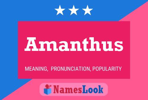 Amanthus Name Poster