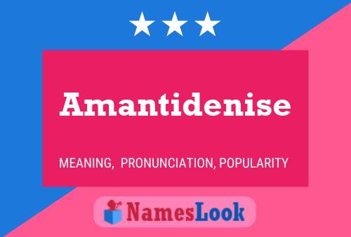 Amantidenise Name Poster