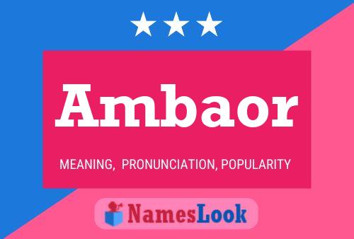 Ambaor Name Poster