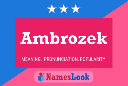 Ambrozek Name Poster