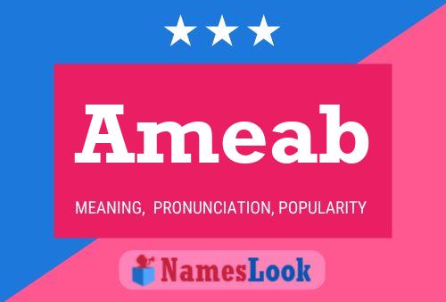 Ameab Name Poster