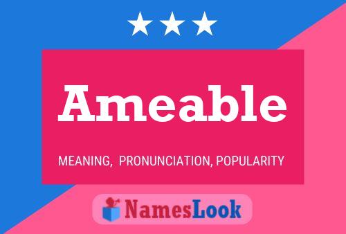 Ameable Name Poster