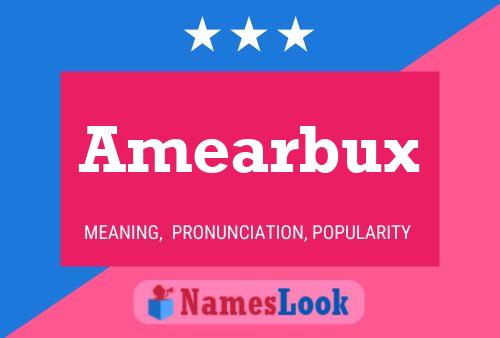 Amearbux Name Poster