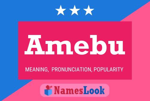 Amebu Name Poster