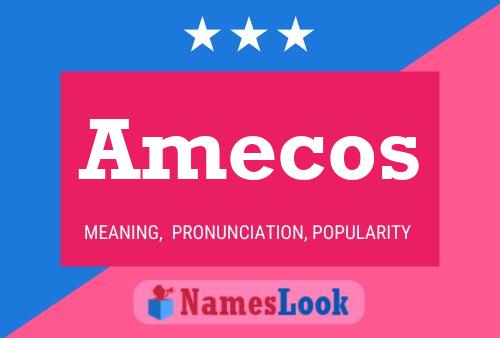 Amecos Name Poster