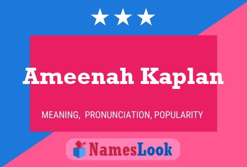 Ameenah Kaplan Name Poster