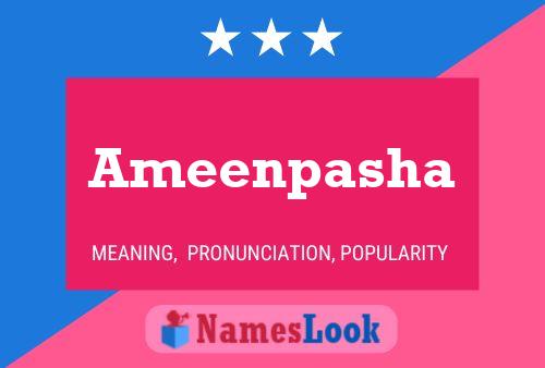 Ameenpasha Name Poster